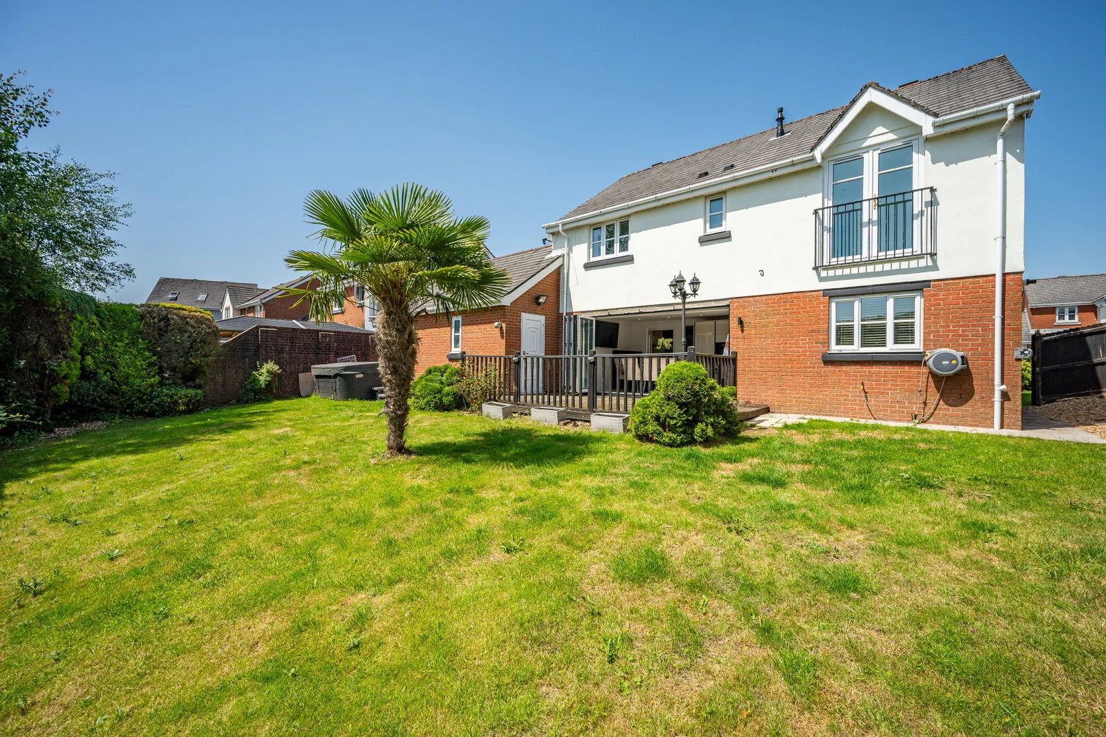 Wide, level rear lawn with a palm and the house behind